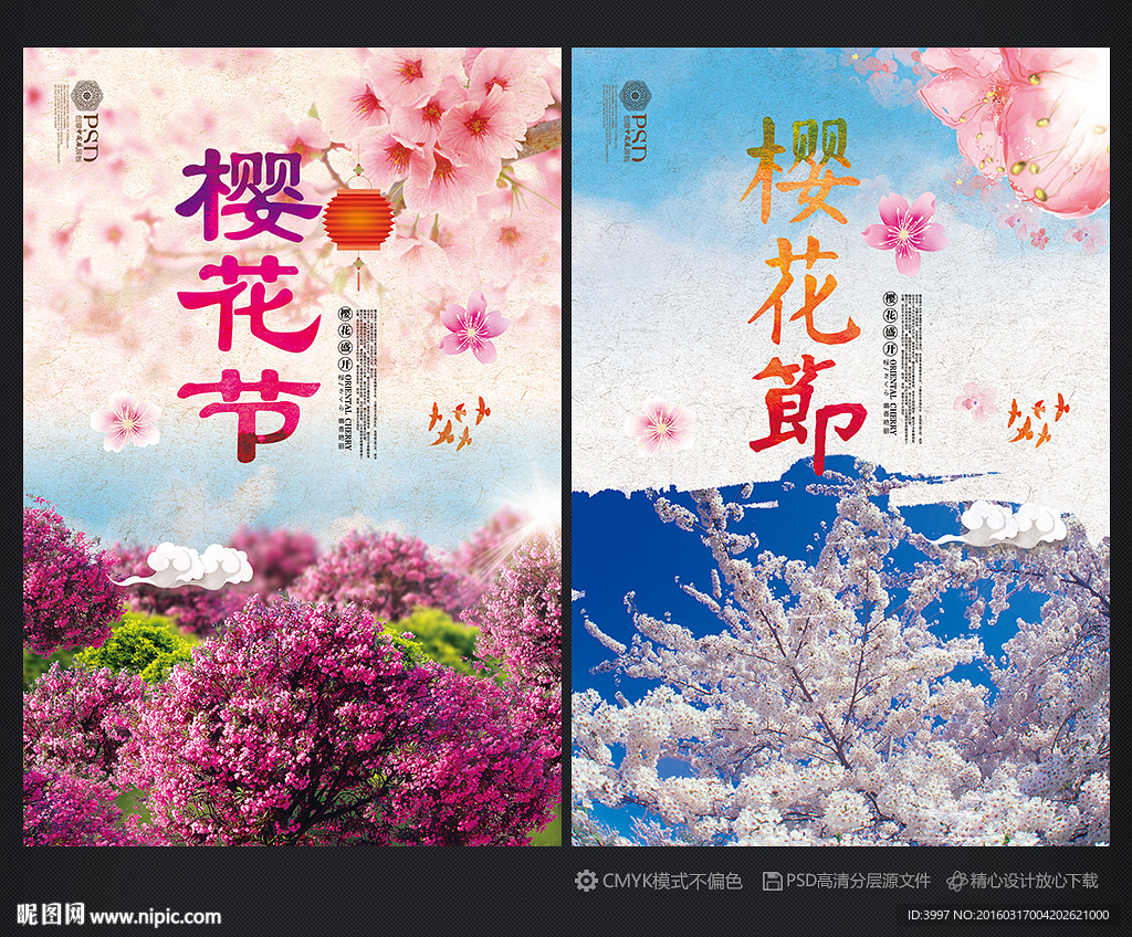 樱花