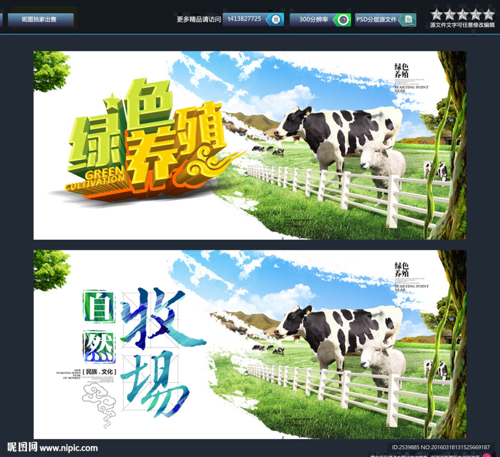 羊 牛 绿色养殖