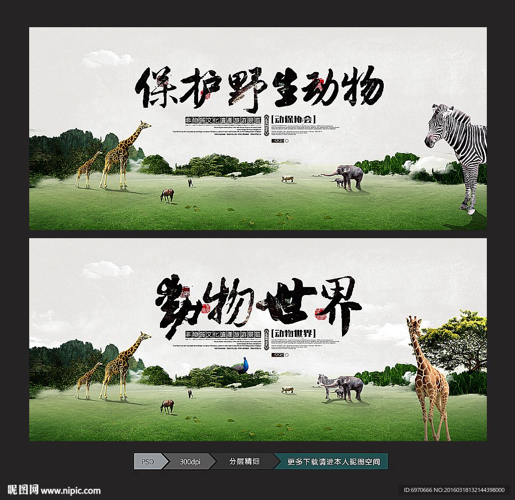 保护动物