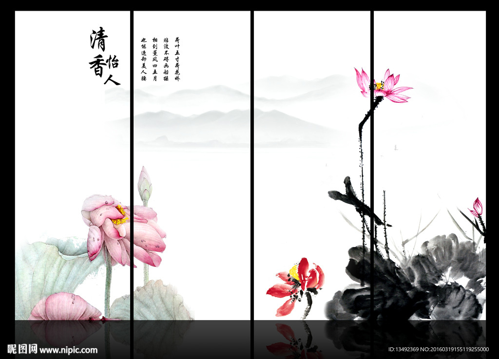 黑白荷花