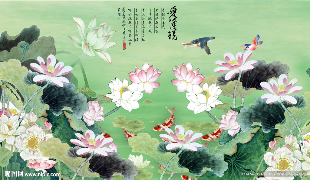 荷花图