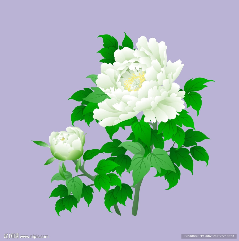 花朵