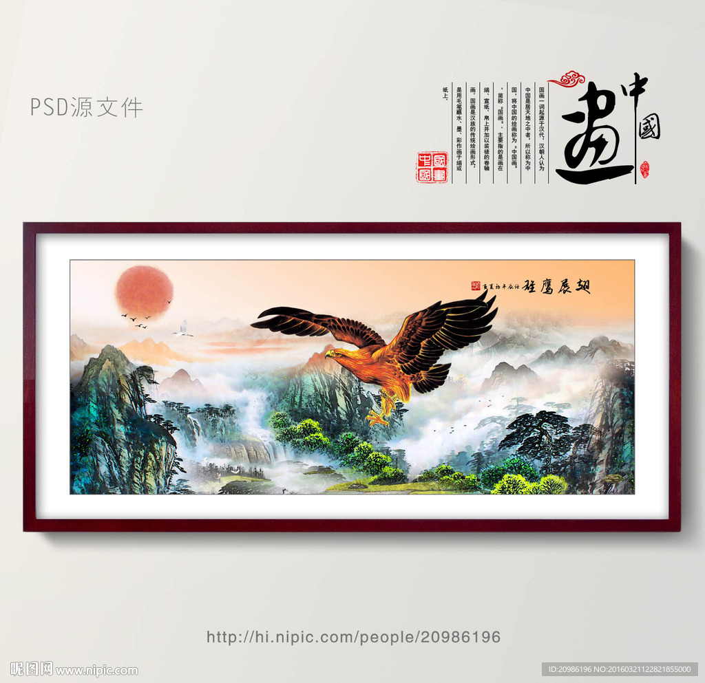 老鹰