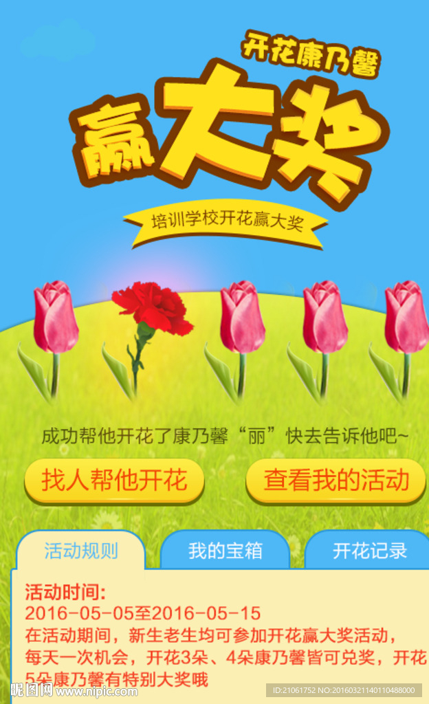 康乃馨活动