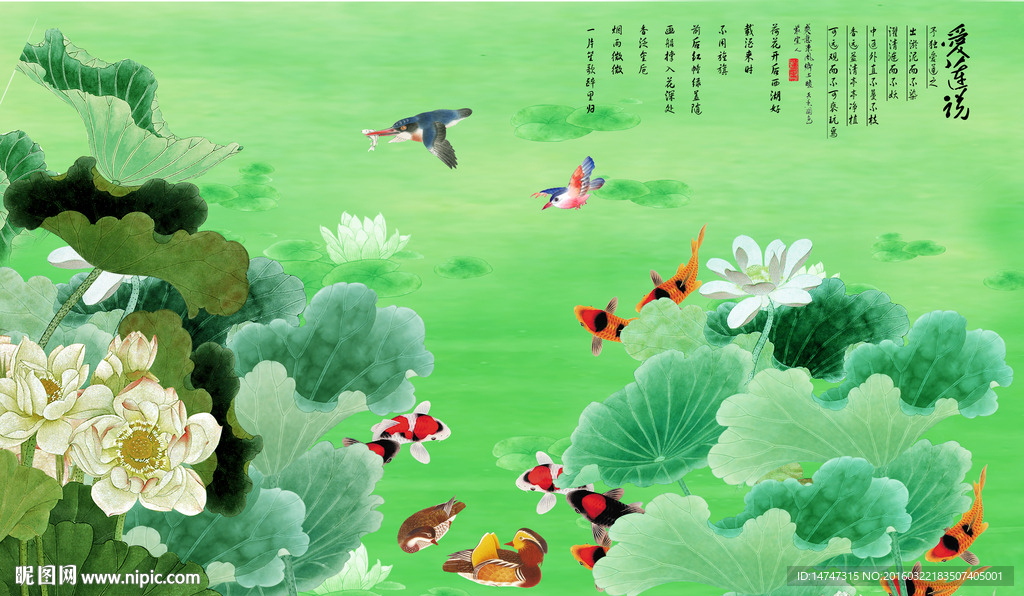 荷花九鱼图
