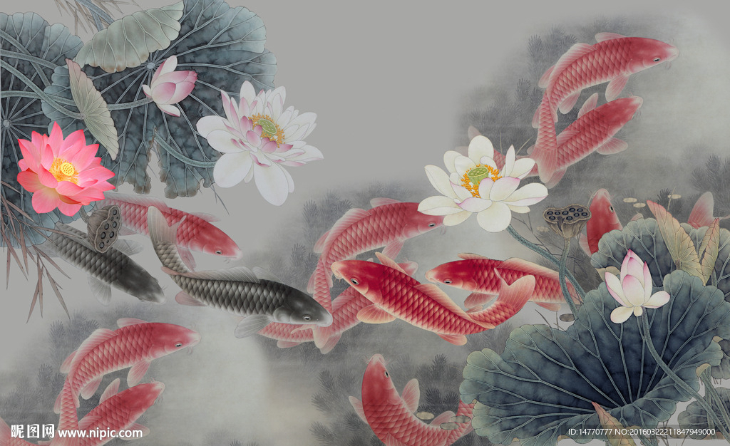 荷花鲤鱼图