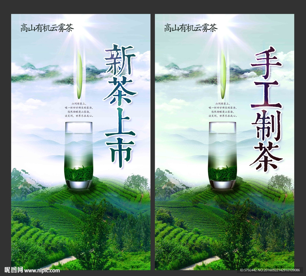 春茶、新茶上市