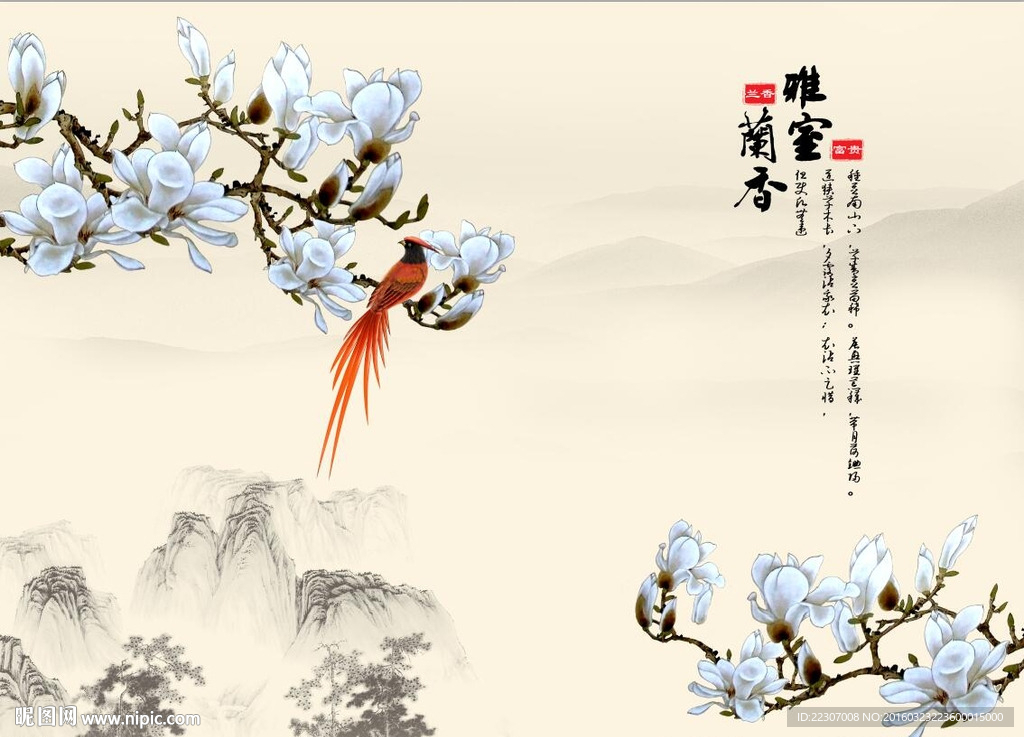 室雅兰香玉兰花