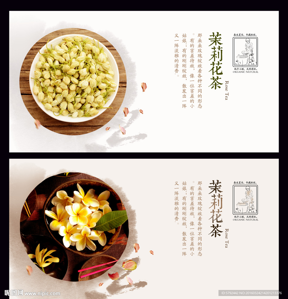 茉莉花茶挂图