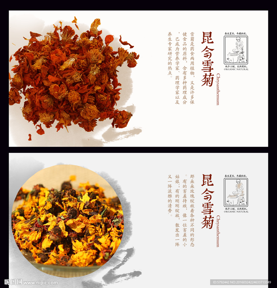 昆仑雪菊茶文化挂图