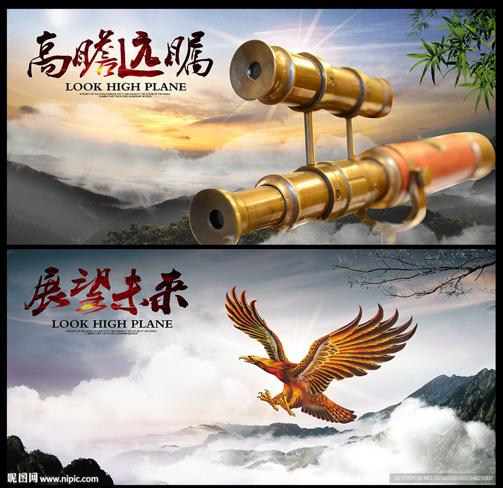 望远镜 展望未来