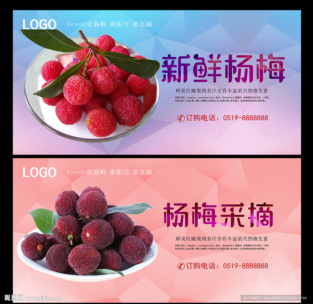 杨梅