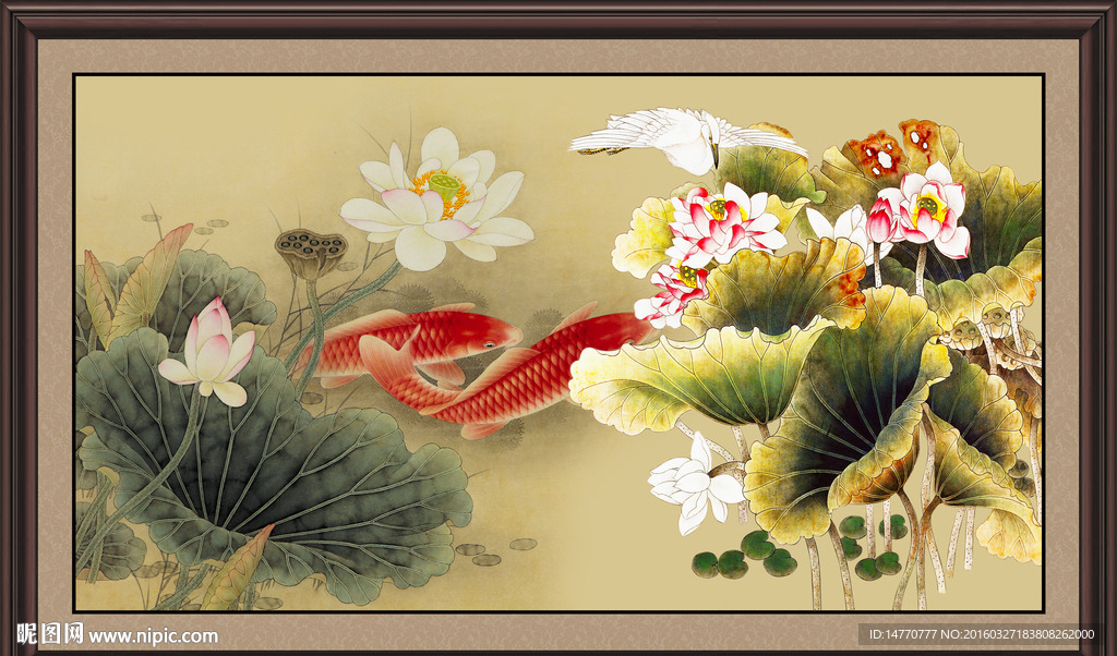 荷花鲤鱼图