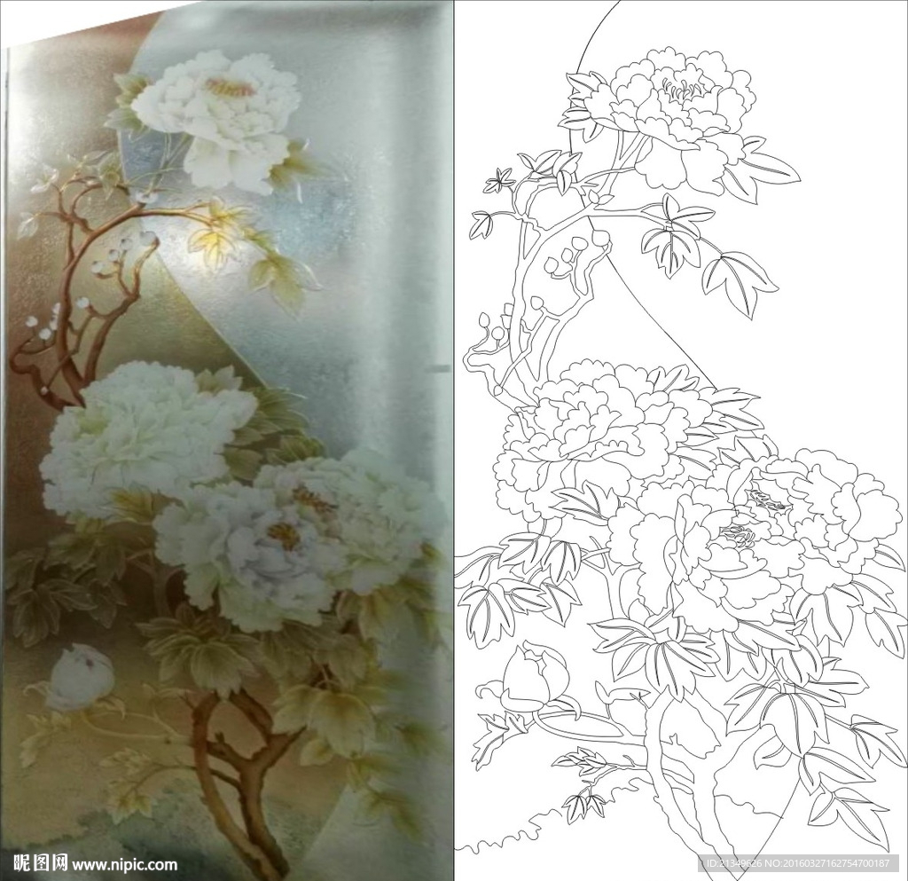 牡丹