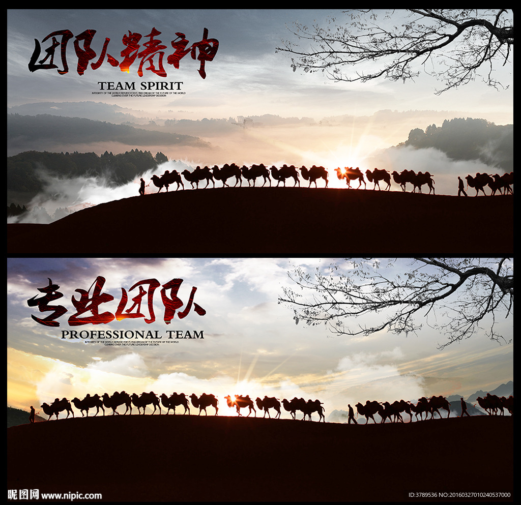 团队精神