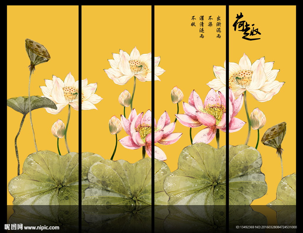 国画荷花