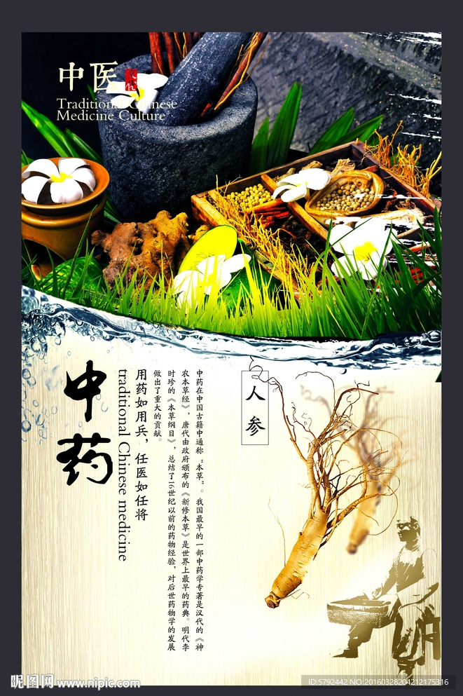 人参、中药、药材