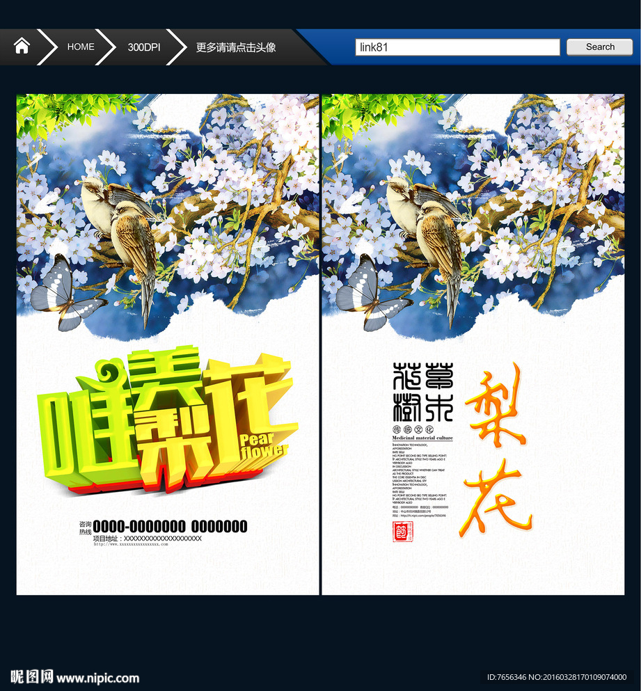 梨花 唯美中国风