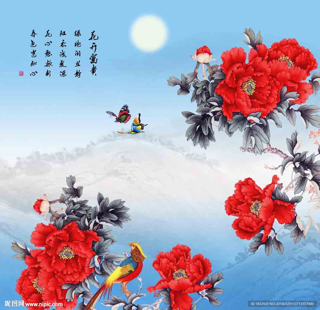 富贵牡丹