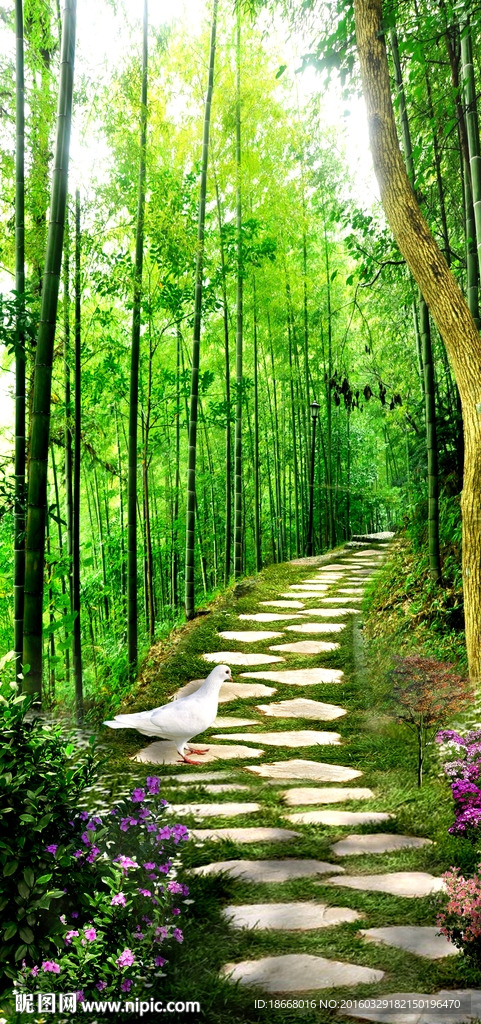 风景玄关背景
