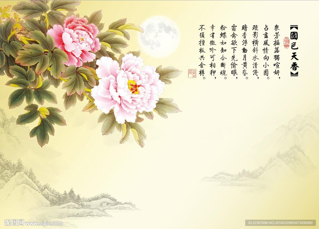 国色天香牡丹花