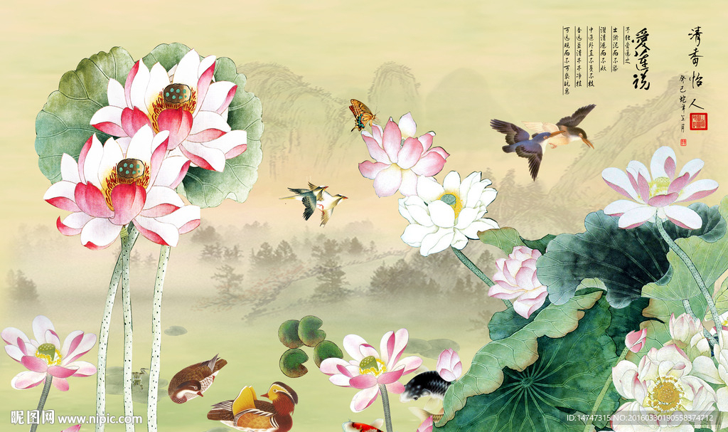 国画荷花