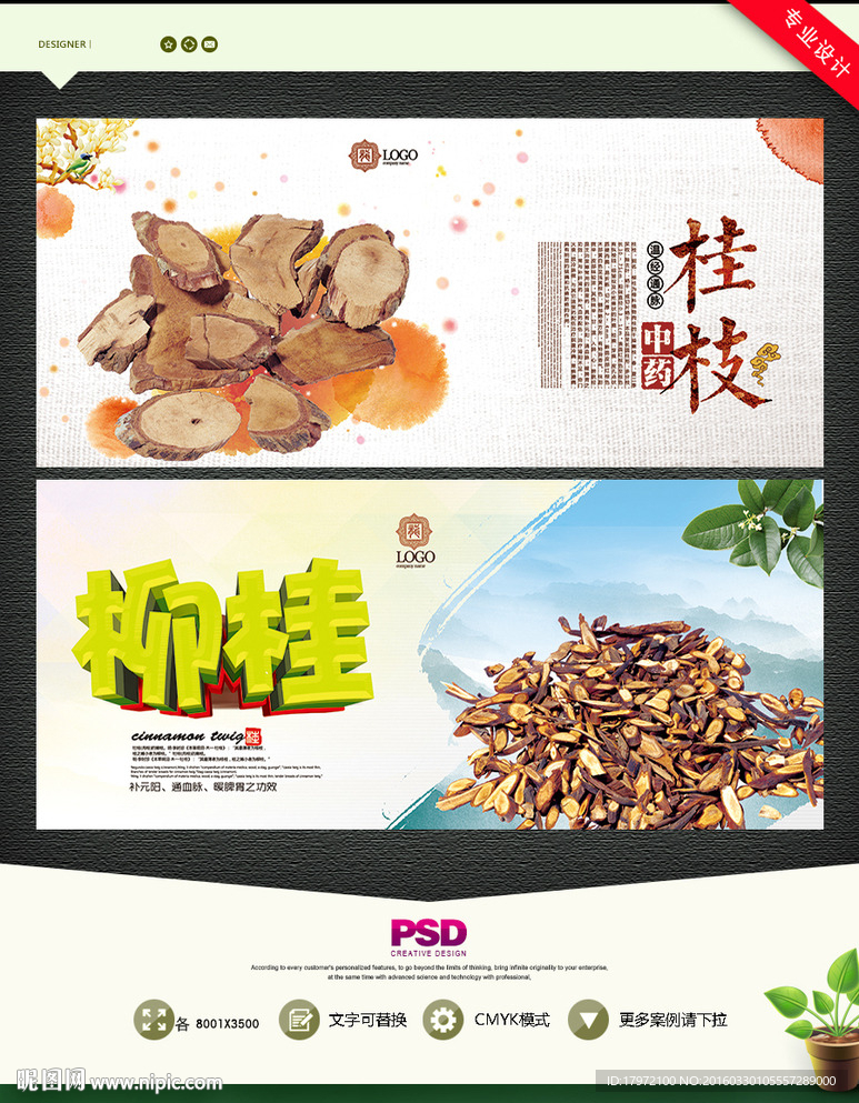 桂枝 柳桂