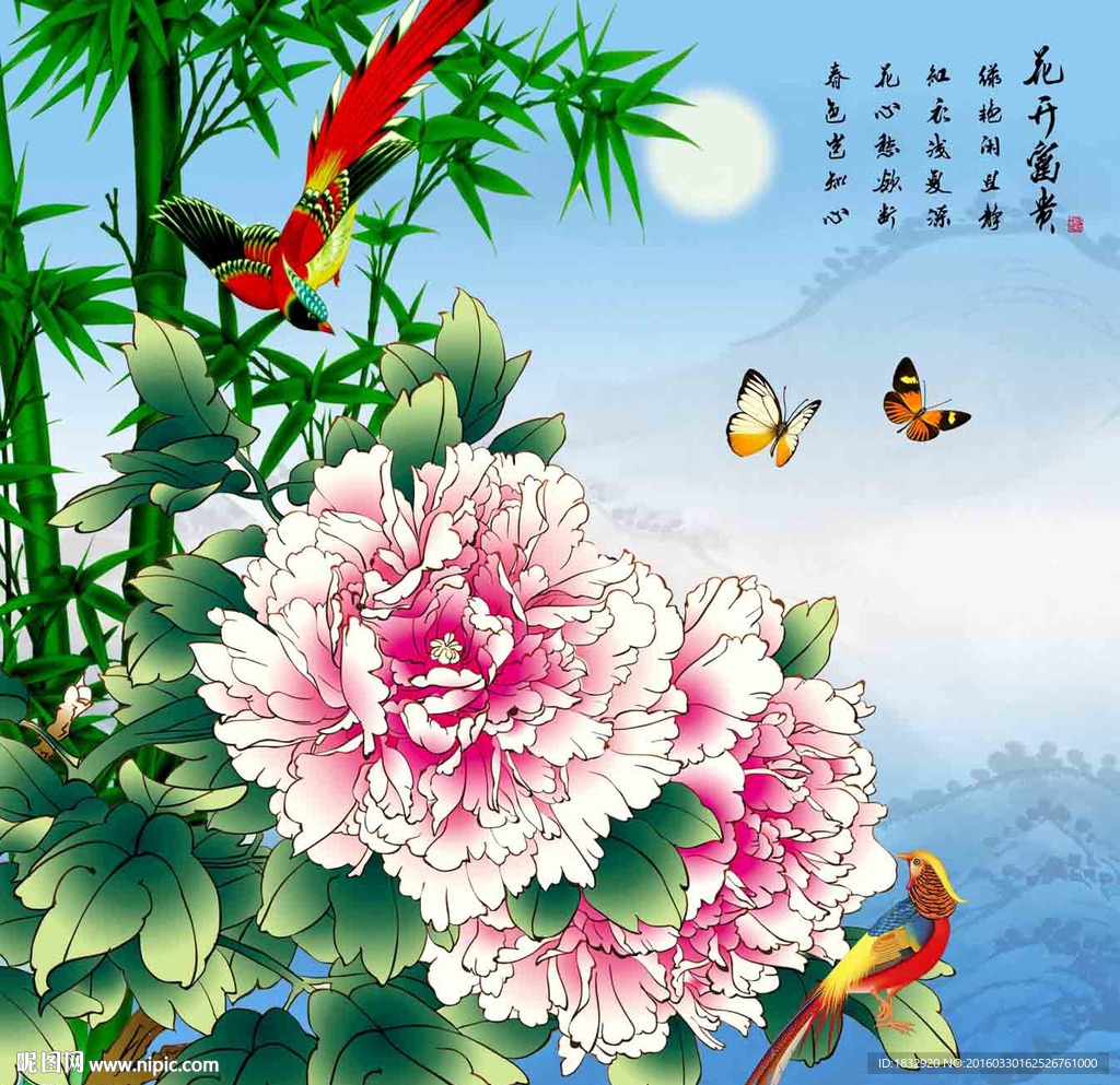 牡丹