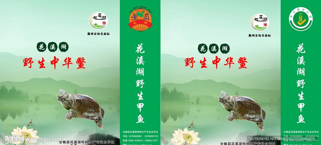 手提袋设计  野生鳖设计