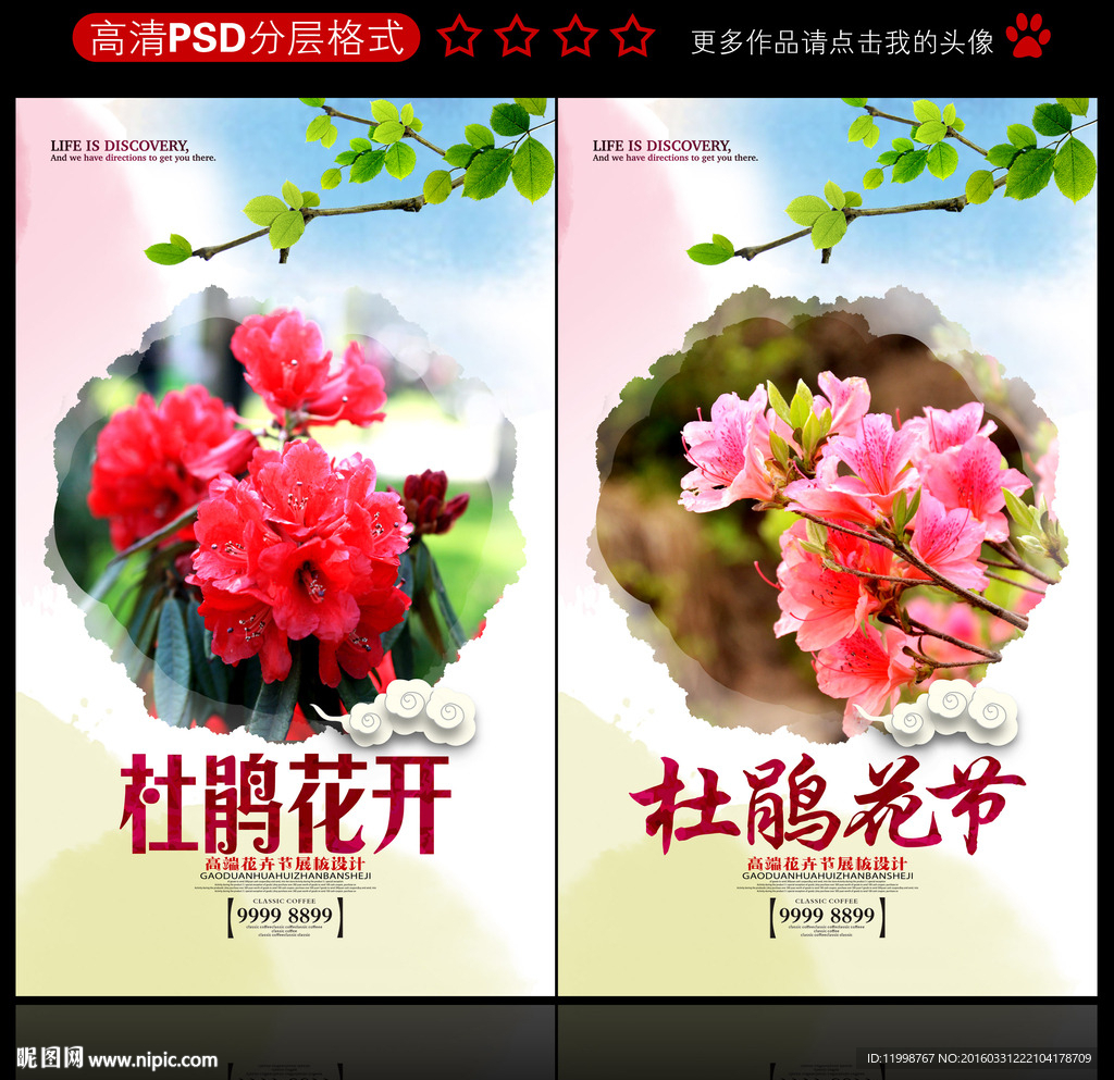 杜鹃花
