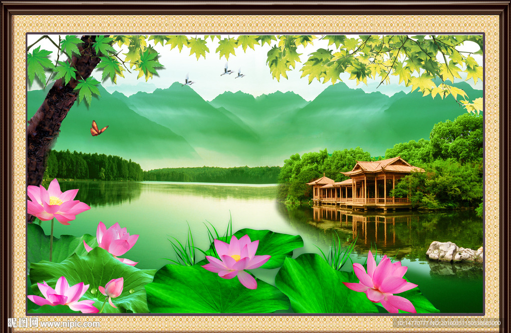 荷花风景