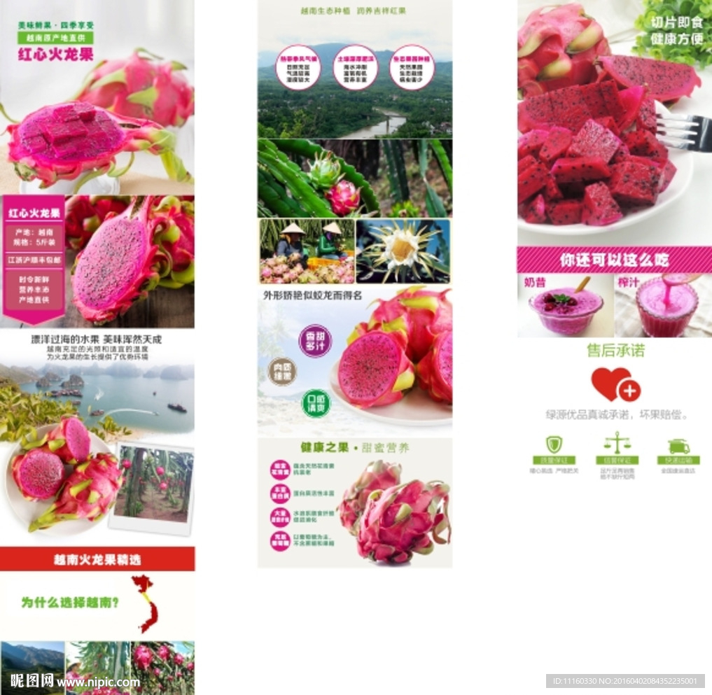 越南红心火龙果详情介绍