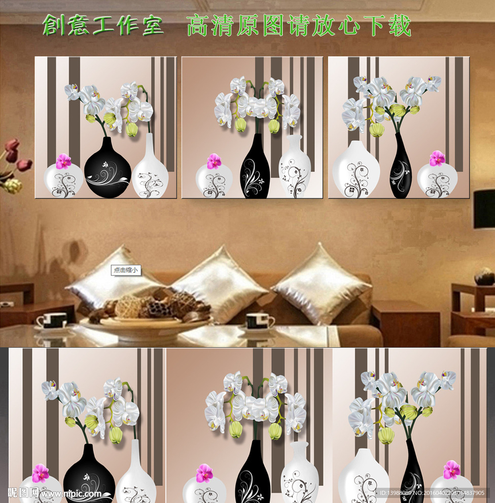 蝴蝶兰 君子兰