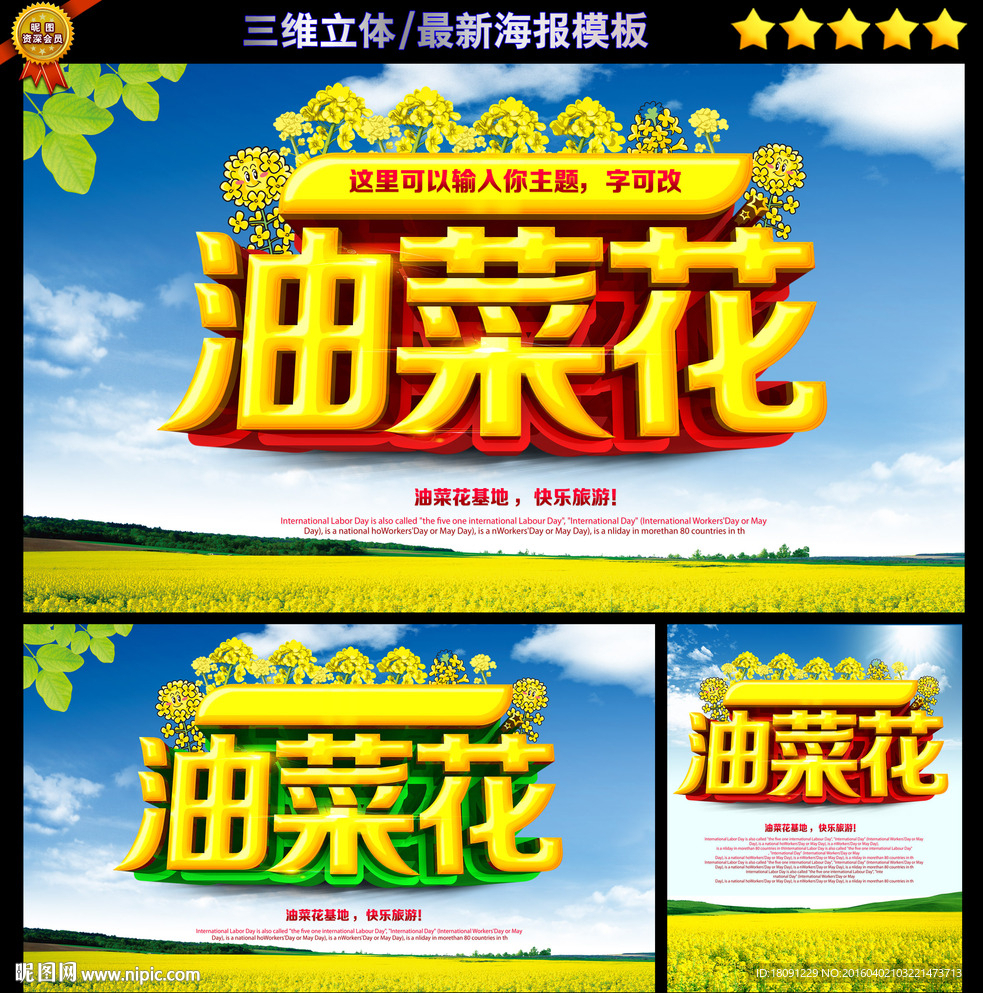 油菜花