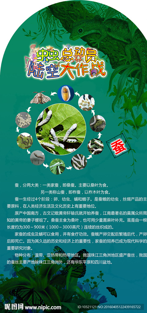 蚕介绍