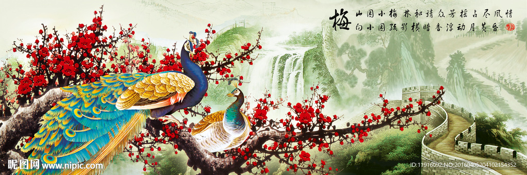 花开富贵 孔雀