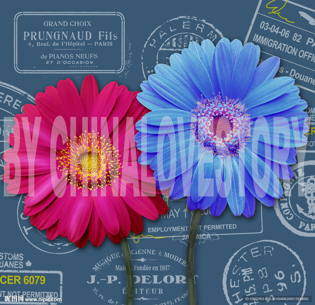 欧美花卉装饰画 非洲菊