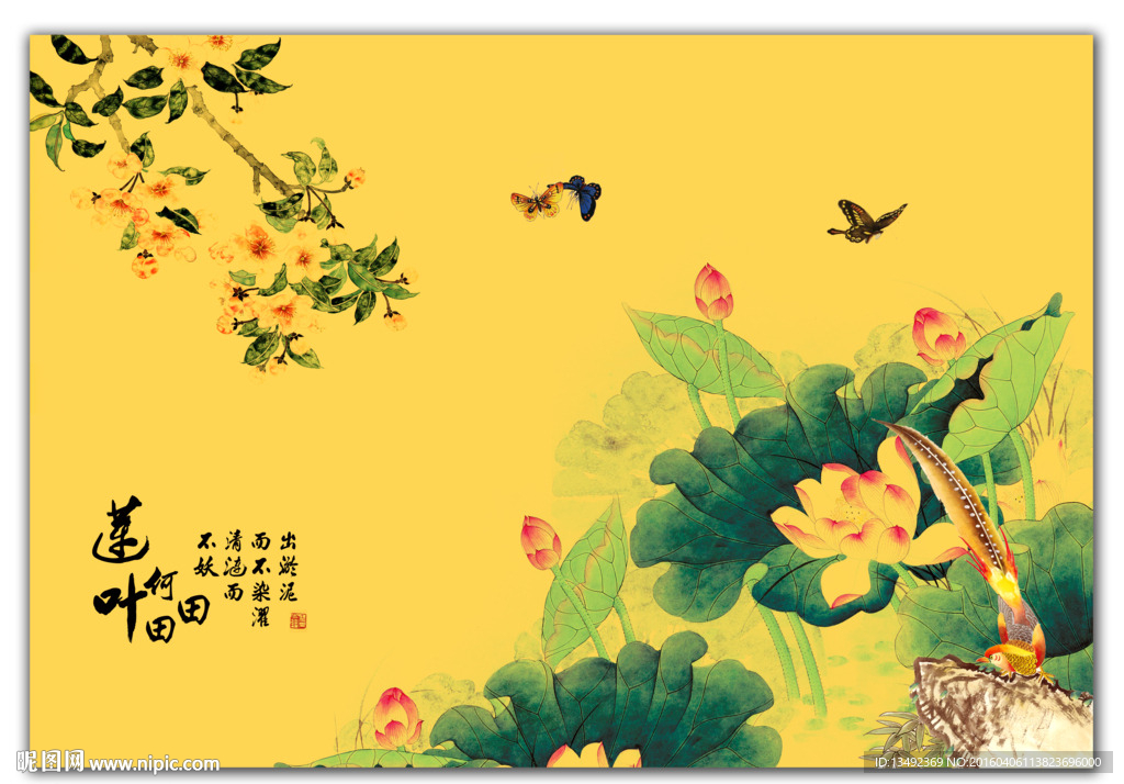 荷花国画