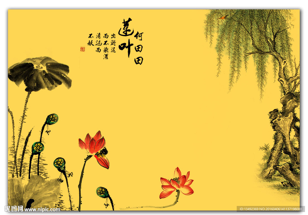 荷花