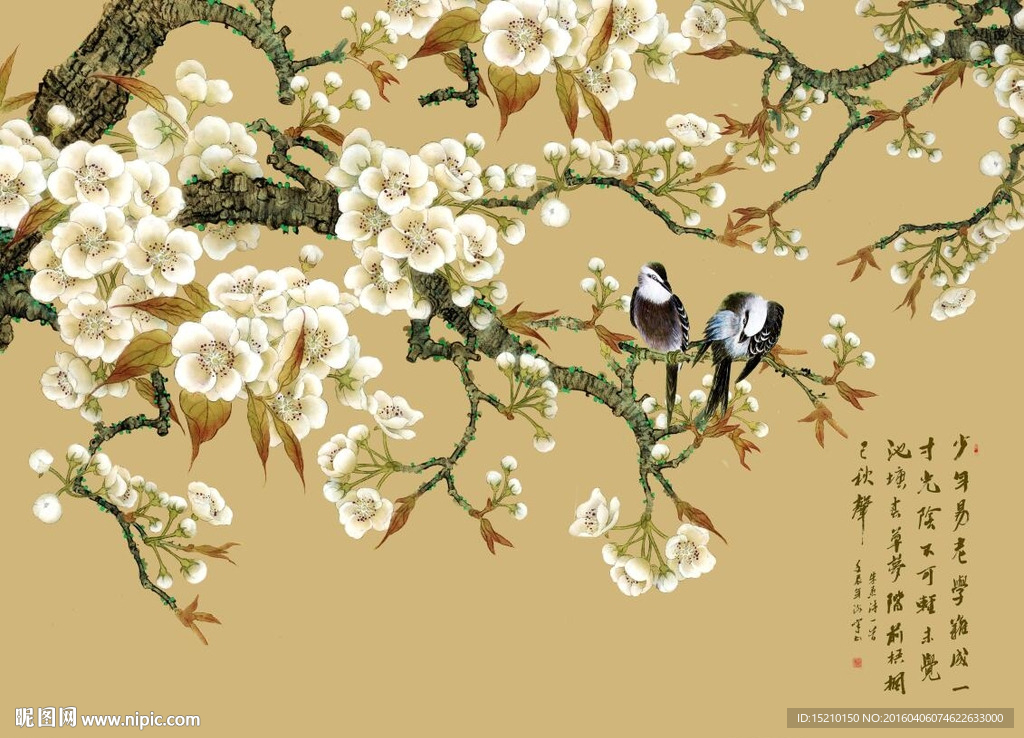 国画梅花