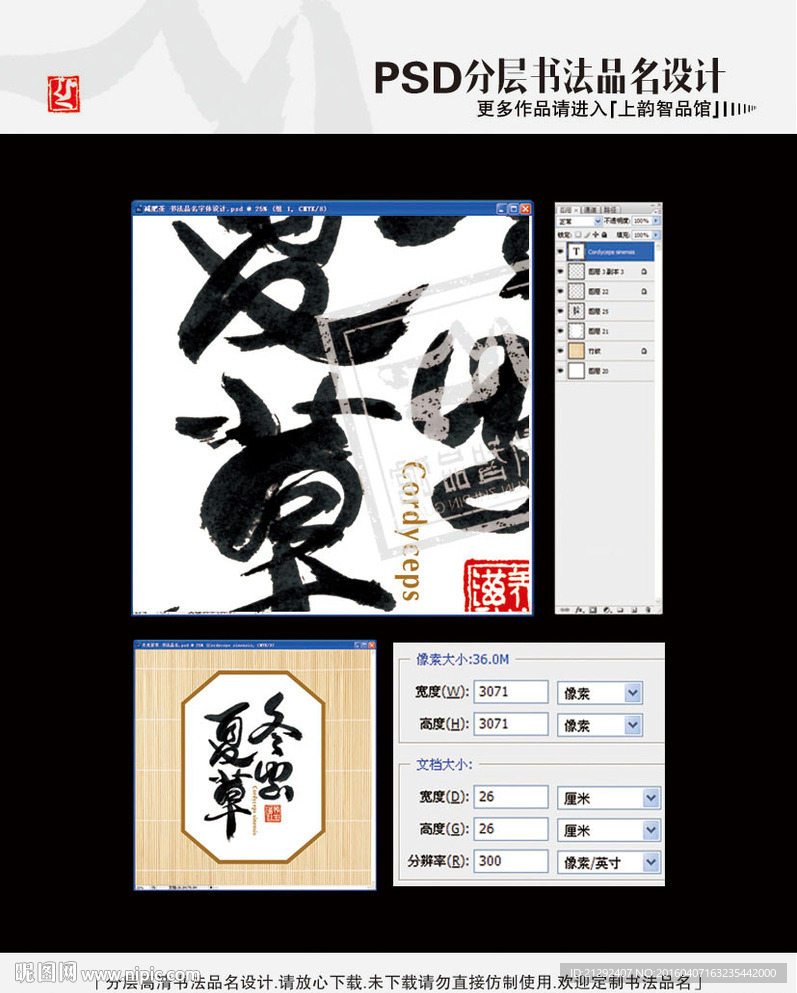 冬虫夏草 书法品名