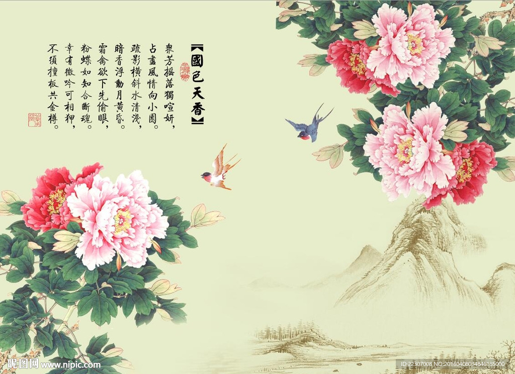 国色天香牡丹花