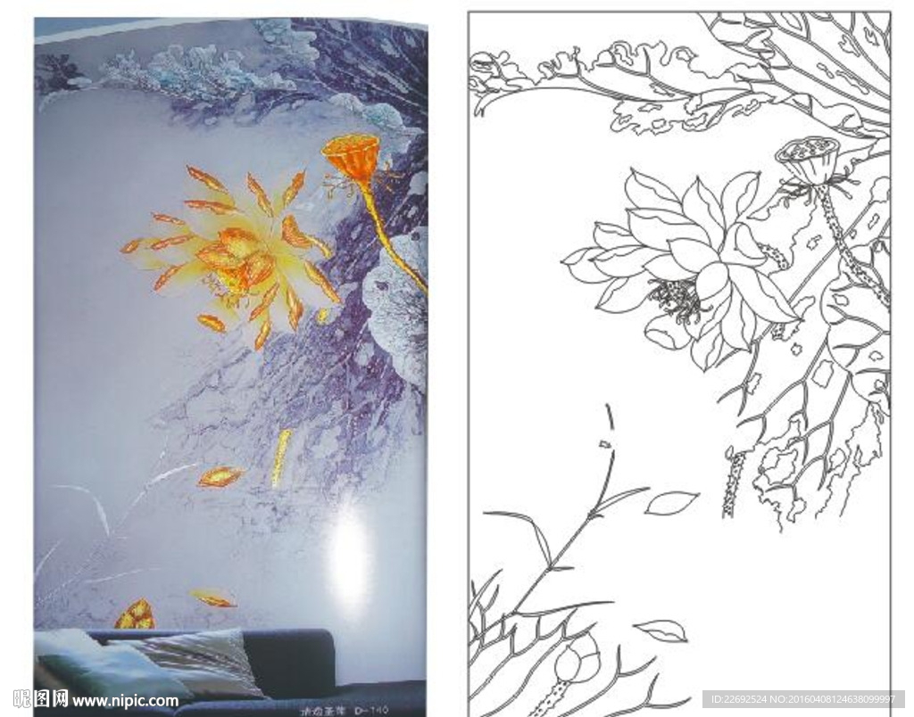 荷花