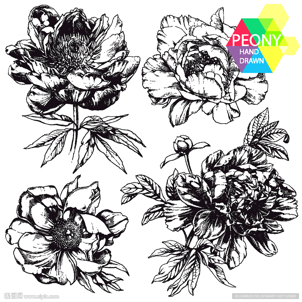 水彩花（内含高清分层图）