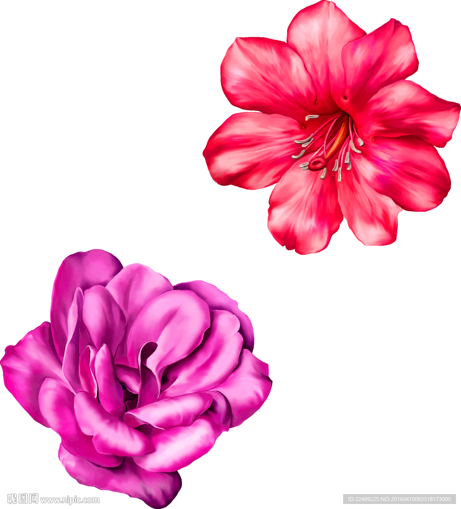 水彩花（内含高清分层图）