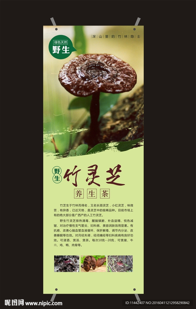 灵芝