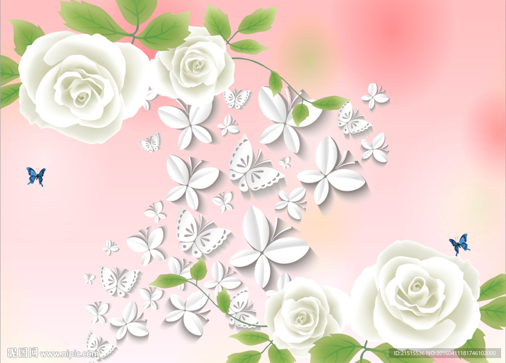 白色玫瑰花