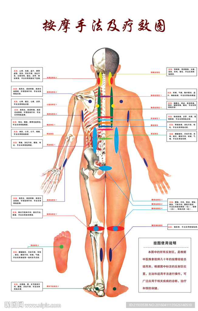 按摩手法经络图