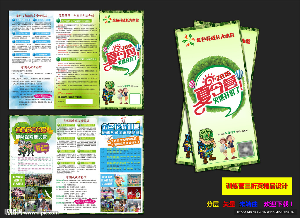 夏令营折页