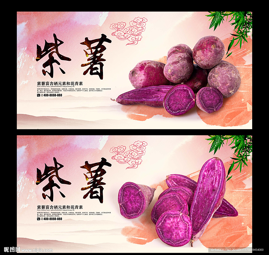 紫薯